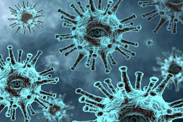 Virus COVID 19